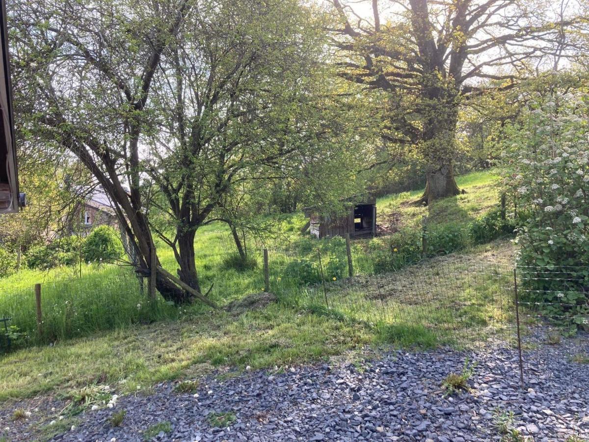 Au Panier Ardennais Gouvy Bagian luar foto